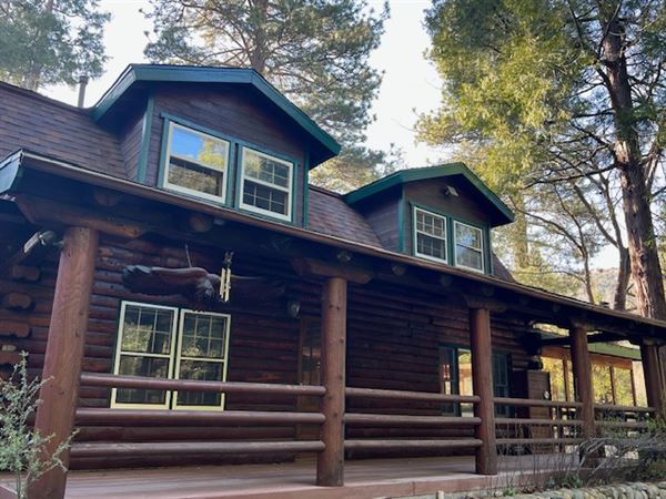 4 Log Cabins and 15 Wooded Acres Near Crestline, CA (4/9/2025 - Credits: Michelle Dowd)
