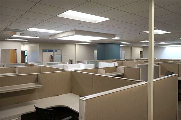 Lemon Labs (12/12/2023 - Credits: David Merabi)