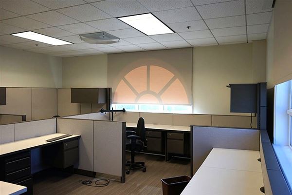 Lemon Labs (12/12/2023 - Credits: David Merabi)