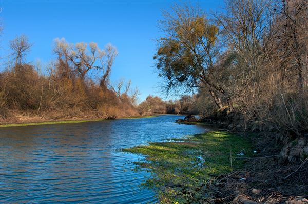 Bidwell-Sacramento River State Park (SP) (3/7/2012 - Credits: Brian Baer)