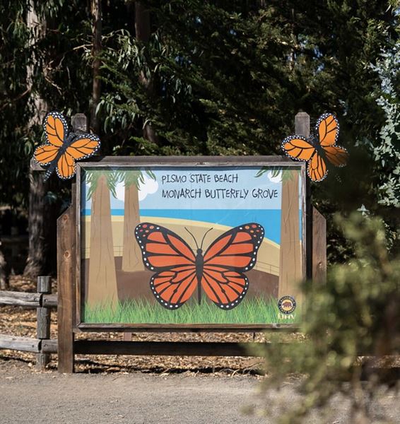 Pismo Beach (4/11/2025 - Credits: City of Pismo Beach)