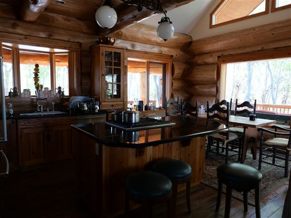 Log Cabin (3/4/2025 - Credits: Dave Mortell)