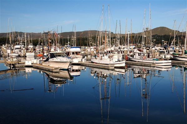 Bodega Bay (4/18/2025 - Credits: Photo Courtesy of Sonoma County)