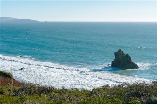 Bodega Bay - Pinnacle Gulch Coastal Access Trail - Bodega Bay (4/18/2025 - Credits: Photo Courtesy of Sonoma County)