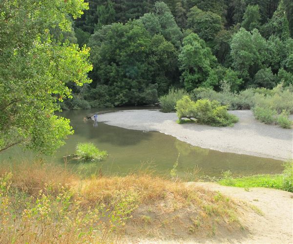 Forestville - Sunset Beach River Park (4/21/2025 - Credits: Photo Courtesy of Sonoma County)