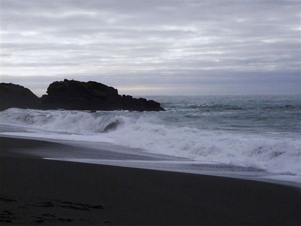 Gualala Point Regional Park (4/21/2025 - Credits: Photo Courtesy of Sonoma County)