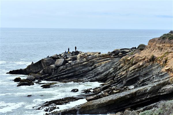 Gualala Point Regional Park (4/21/2025 - Credits: Photo Courtesy of Sonoma County)
