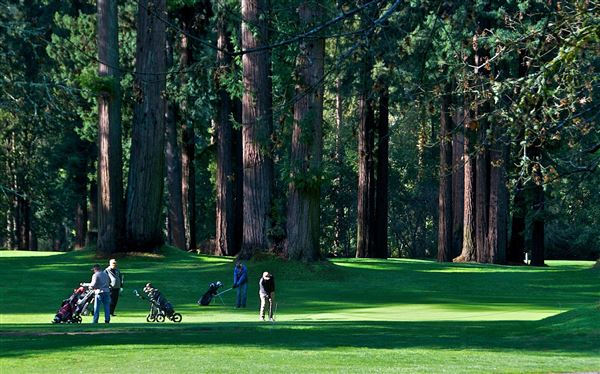 Northwood Golf Club (4/22/2025 - Credits: Photo Courtesy of Sonoma County)