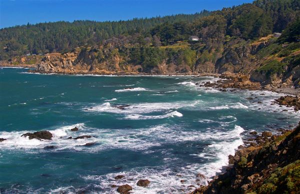 Salt Point State Park (SP) (4/23/2025 - Credits: Al Mueller)