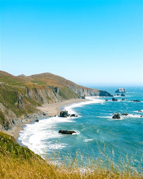 Sonoma Coast State Park (SP) - Blind Beach - Sonoma Coast State Park (4/24/2025 - Credits: Photo Courtesy of Sonoma County)