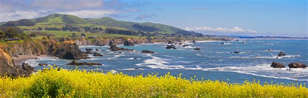 Sonoma Coast State Park (SP) - Duncans Landing - Sonoma Coast State Park (4/24/2025 - Credits: Photo Courtesy of Sonoma County)