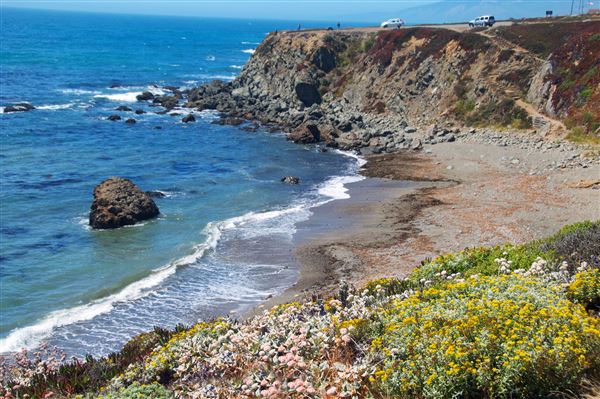 Sonoma Coast State Park (SP) - Marshall Gulch - Sonoma Coast State Park (4/24/2025 - Credits: Al Mueller)