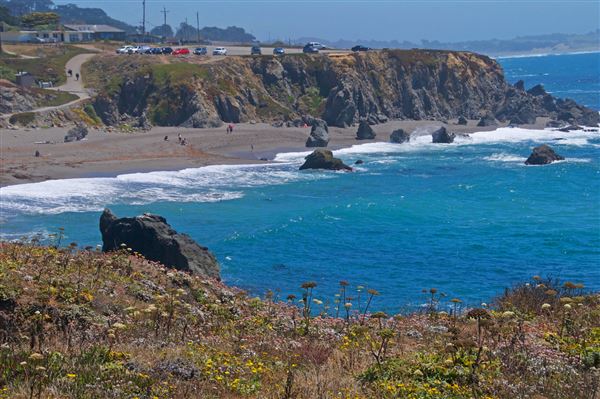 Sonoma Coast State Park (SP) - Portuguese Beach - Sonoma Coast State Park (4/24/2025 - Credits: Al Mueller)