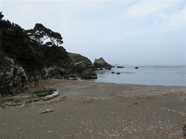 Stillwater Cove Regional Park (4/24/2025 - Credits: Photo Courtesy of Sonoma County)