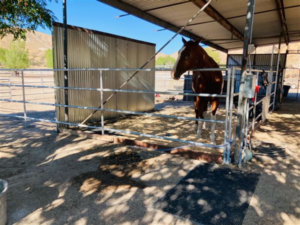 Sunny Canyon Ranch (4/28/2025 - Credits: submitted by: Lynn Borneman)