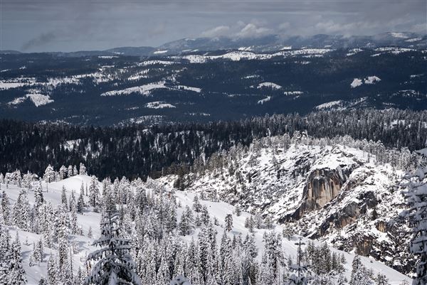 Dodge Ridge Mountain Resort (5/28/2025 - Credits: Dodge Ridge Mountain Resort)