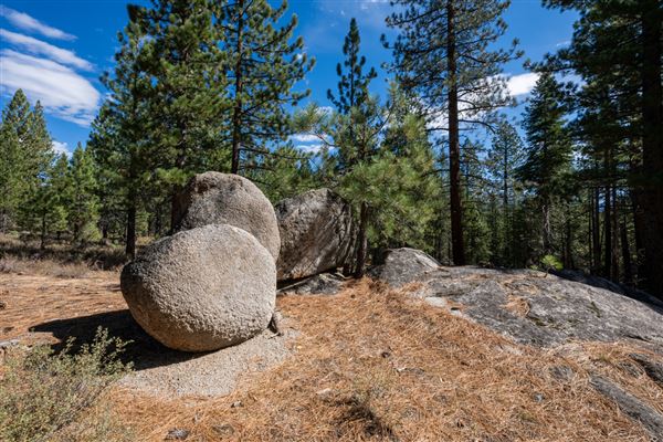 Washoe Meadows State Park (SP) (10/4/2024 - Credits: Brian Baer)