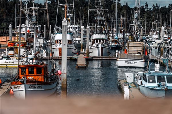 Noyo Harbor District (6/13/2025 - Credits: Photo Courtesy of Noyo Harbor District)