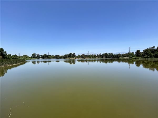 Whittier Narrows Recreation Area / LA County Parks - US Army Corps of Engineers - Legg Lake (6/17/2025 - Credits: Brandy Davis)