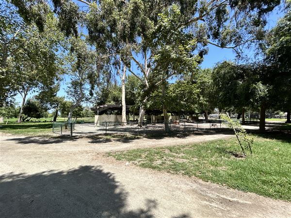 Whittier Narrows Recreation Area / LA County Parks - US Army Corps of Engineers - Legg Lake (6/17/2025 - Credits: Brandy Davis)