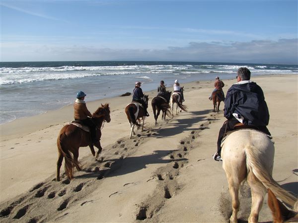 Moss Landing (4/27/2022 - Credits: SeeMonterey.com)