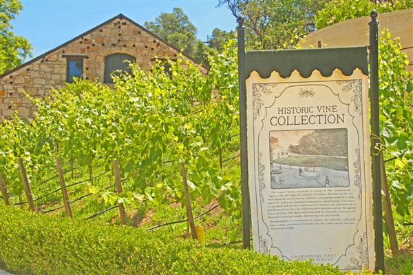 Buena Vista Winery (6/30/2025 - Credits: Al Mueller)