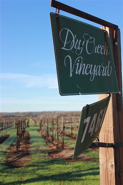 Dry Creek Vineyard (6/30/2025 - Credits: Photo Courtesy of Sonoma County)
