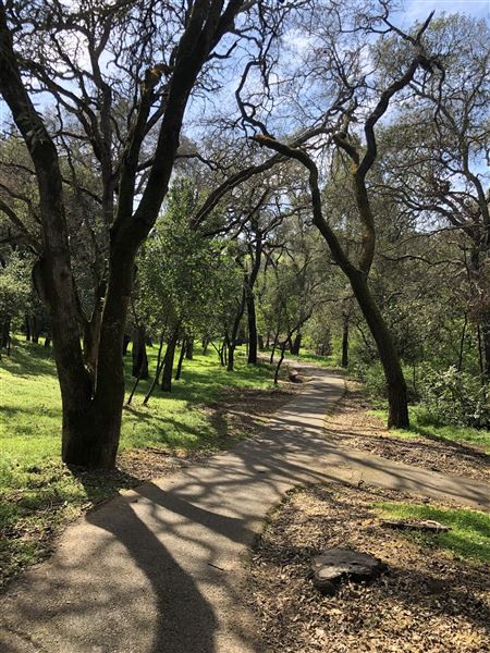 Los Gatos - La Rinconada Park Trail (7/8/2025 - Credits: Town of Los Gatos)