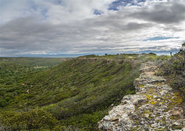 Fort Ord National Monument (6/16/2023 - Credits: Jesse Pluim, BLM, Public Domain)