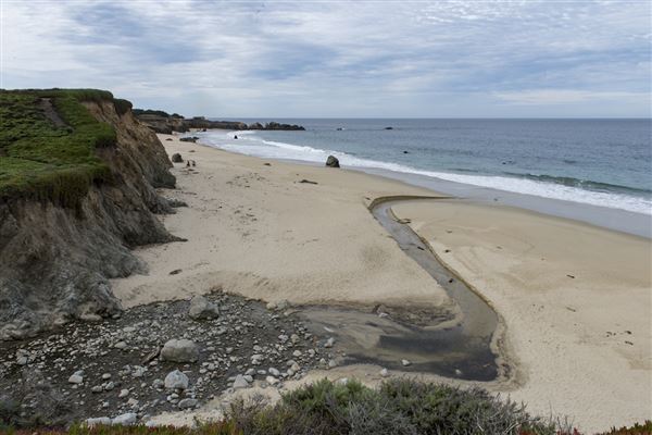 Garrapata State Park (SP) (4/5/2018 - Credits: Brian Baer)