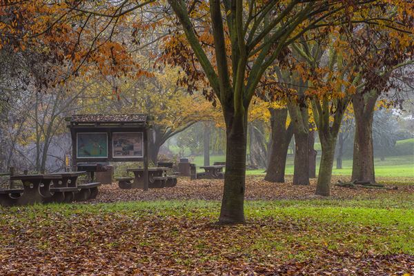 Colusa-Sacramento River State Recreation Area (SRA) (12/9/2016 - Credits: Brian Baer)