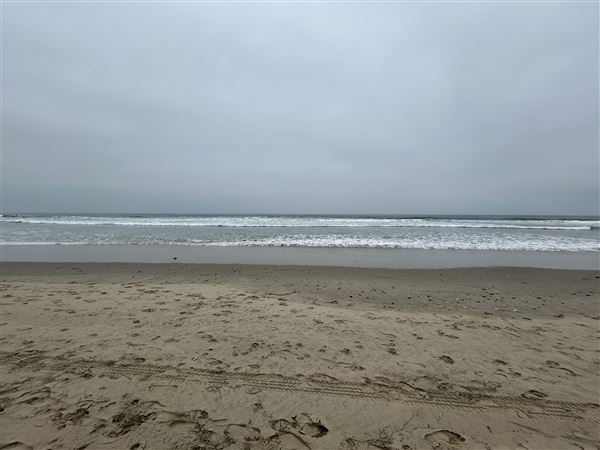 Venice Beach, Boardwalk, Pier & Recreation Center (8/14/2025 - Credits: Brandy Davis)