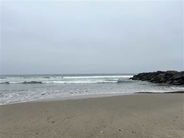 Venice Beach, Boardwalk, Pier & Recreation Center (8/14/2025 - Credits: Brandy Davis)