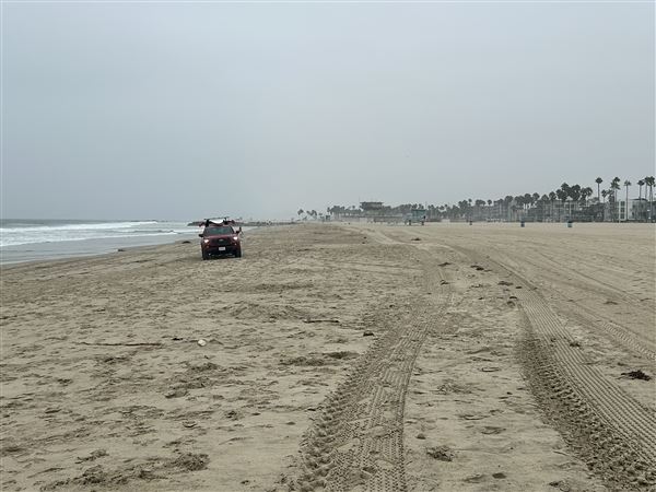 Venice Beach, Boardwalk, Pier & Recreation Center (8/14/2025 - Credits: Brandy Davis)
