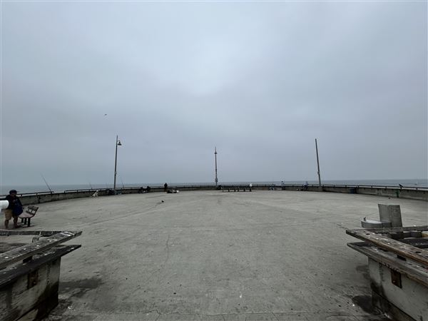 Venice Beach, Boardwalk, Pier & Recreation Center (8/14/2025 - Credits: Brandy Davis)