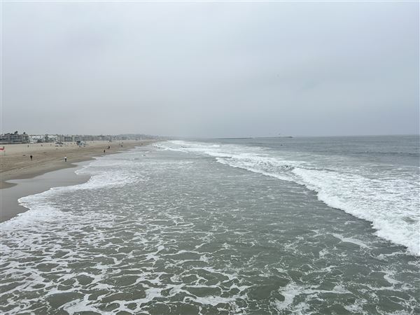 Venice Beach, Boardwalk, Pier & Recreation Center (8/14/2025 - Credits: Brandy Davis)