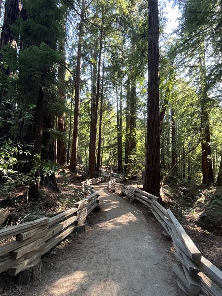 Pfeiffer Big Sur State Park (SP) (8/17/2025 - Credits: Melody Hildreth)