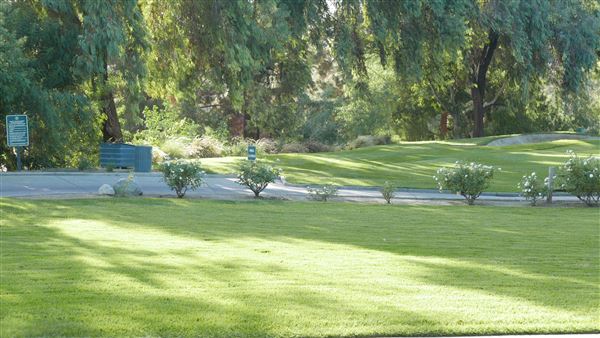 Pacific Palms Resort - Wedding Lawn (10/12/2018 - Credits: Leo Fialho)
