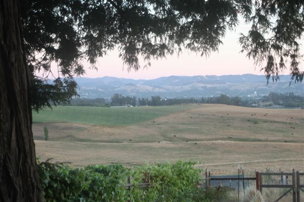 Bees Rock Ranch (9/17/2025 - Credits: Nick Freedman)