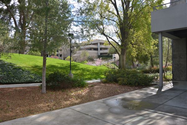 College of the Canyons - Quad (3/21/2019 - Credits: Leo Fialho)