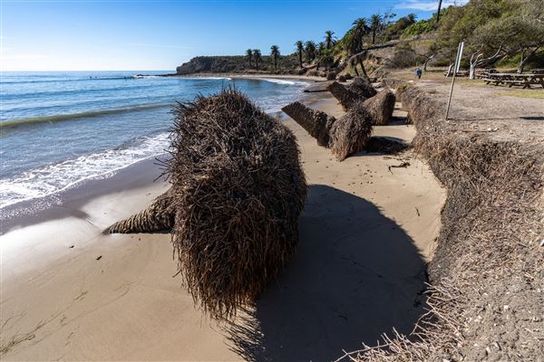 Refugio State Beach (SB) (1/6/2025 - Credits: Brian Baer)