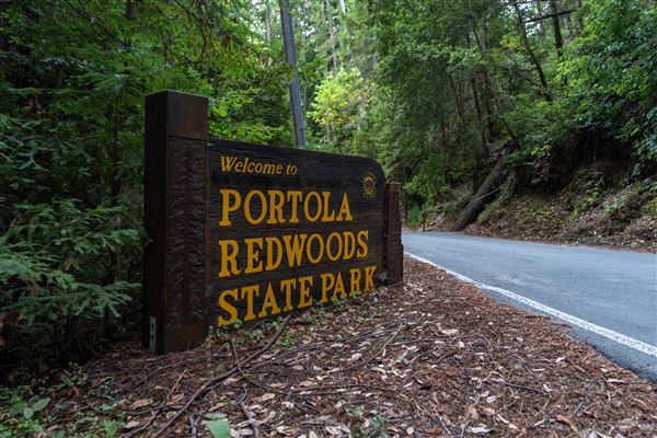 Portola Redwoods State Park (SP) (10/14/2024 - Credits: Brian Baer)