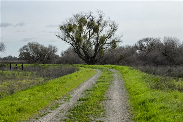 Great Valley Grasslands State Park (SP) (3/13/2024 - Credits: Brian Baer)
