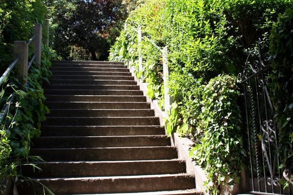 Filbert Steps (10/24/2025 - Credits: San Francisco City & County Film Commission)