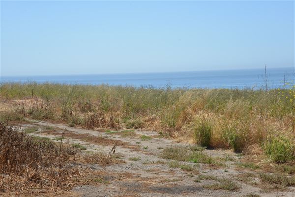 El Pescador State Beach @ Robert H. Meyer Memorial State Beach (SB) - CFC (4/17/2019 - Credits: Leo Fialho)