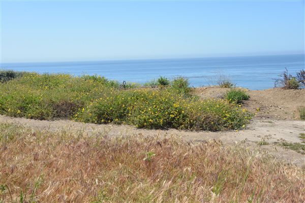 El Pescador State Beach @ Robert H. Meyer Memorial State Beach (SB) - CFC (4/17/2019 - Credits: Leo Fialho)