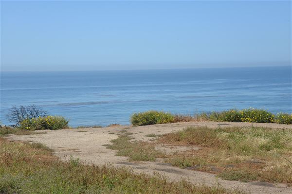 El Pescador State Beach @ Robert H. Meyer Memorial State Beach (SB) - CFC (4/17/2019 - Credits: Leo Fialho)
