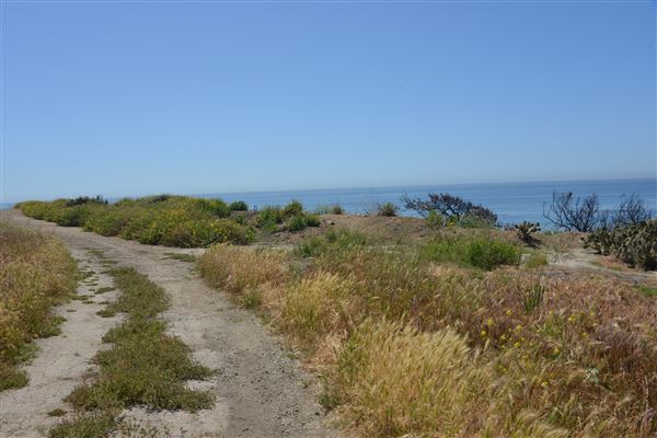 El Pescador State Beach @ Robert H. Meyer Memorial State Beach (SB) - CFC (4/17/2019 - Credits: Leo Fialho)