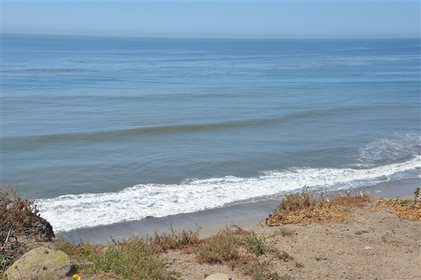 El Pescador State Beach @ Robert H. Meyer Memorial State Beach (SB) - CFC (4/17/2019 - Credits: Leo Fialho)