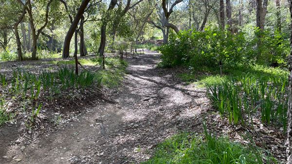 Descanso Gardens - California Garden (3/7/2022 - Credits: Leo Fialho)